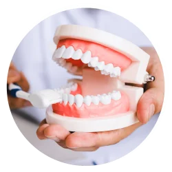 Preventative Dentistry in QLD